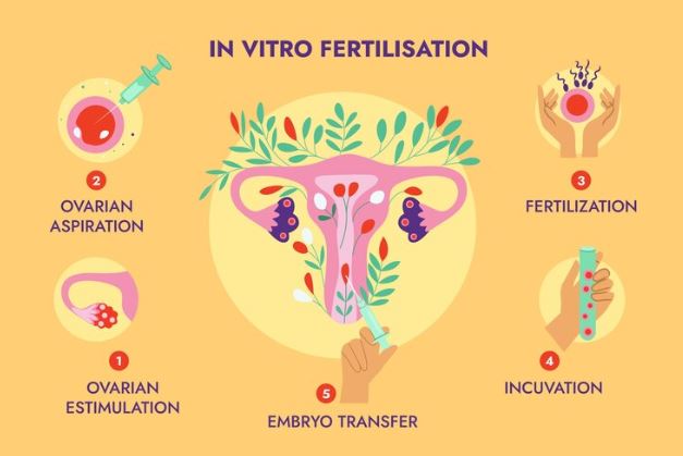 In vitro fertilization (IVF) in turkey antalya 